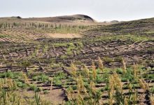 风沙治理概念龙头股票有哪些?2022年风沙治理概念股名单一览表-小李财经视角