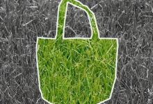 可降解塑料概念龙头股票有哪些?2025年可降解塑料概念股名单一览表-小李财经视角