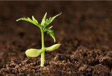 土壤修复概念龙头股票有哪些?2022年最全土壤修复概念股名单一览表-小李财经视角