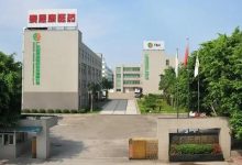 泰恩康申购消息-小李财经视角