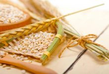 印度禁止小麦出口或提振粮价，国内种业有望受益！-小李财经视角