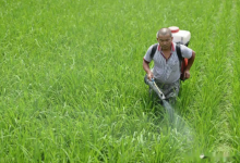 农药龙头股票有哪些？农药概念股票名单一览表-小李财经视角