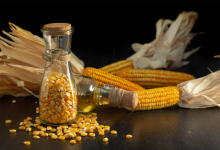 玉米油龙头股票有哪些？玉米油概念股票名单一览表-小李财经视角