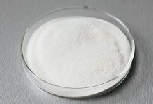 蛋白酶龙头股票有哪些？蛋白酶概念股票名单一览表-小李财经视角