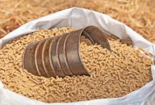 饲料龙头股票有哪些？饲料概念股票名单一览表-小李财经视角