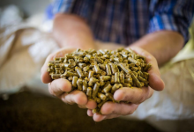 国内饲料市场再迎涨价潮，饲料概念股有望受益！-小李财经视角