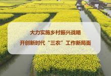 三农龙头股票有哪些？三农概念股票名单一览表-小李财经视角