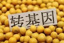 转基因龙头股票有哪些?转基因概念股票名单一览表-小李财经视角