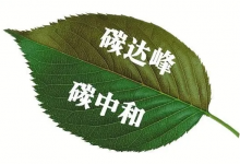 碳中和概念龙头股有哪些?-小李财经视角