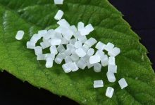 聚乳酸龙头股票有哪些?聚乳酸概念股票名单一览表-小李财经视角