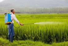 灭蝗虫农药龙头股票有哪些?灭蝗虫农药概念股票名单一览表-小李财经视角
