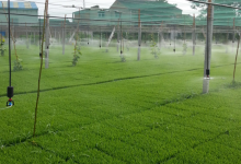 农业节水灌溉龙头股票有哪些?农业节水灌溉概念股票名单一览表-小李财经视角