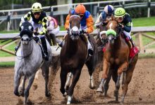 赛马龙头股票有哪些？赛马概念股票名单一览表-小李财经视角