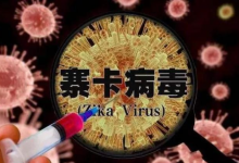 寨卡病毒龙头股票有哪些?寨卡病毒概念股票名单一览表-小李财经视角