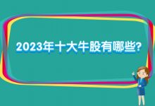 2023年十大牛股有哪些？-小李财经视角