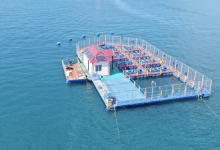 海水提锂龙头股票有哪些？海水提锂概念股票名单一览表-小李财经视角