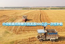 中央财政向种粮农民发放100亿元一次性补贴,种业概念股有望受益!-小李财经视角