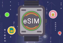 eSIM卡龙头股票有哪些?eSIM卡概念股票名单一览表-小李财经视角