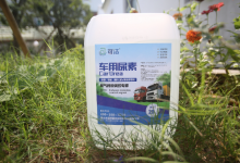 车用尿素龙头股票有哪些?车用尿素概念股票名单一览表-小李财经视角