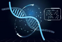 合成生物学龙头股票有哪些?合成生物学概念股票名单一览表-小李财经视角